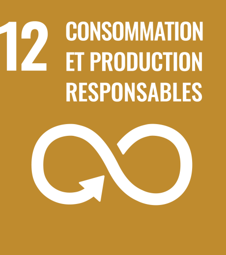 12 consommation et production responsable