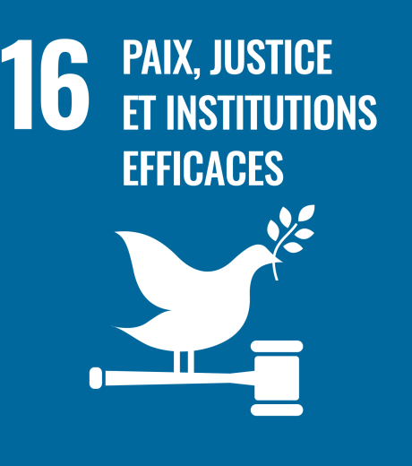 16 paix justice et institutions efficaces