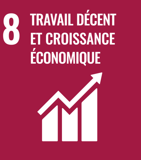 8 travail décent et croissance économique