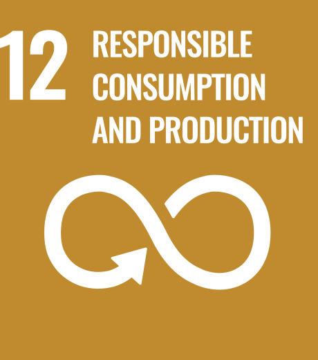 12 responsible consumption and production