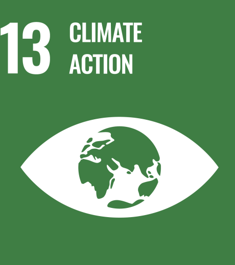 13 climate action