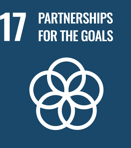 17 partenrship for the goals