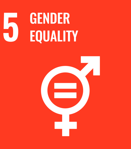 5 gender equality
