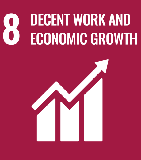 8 decent work and economic growth