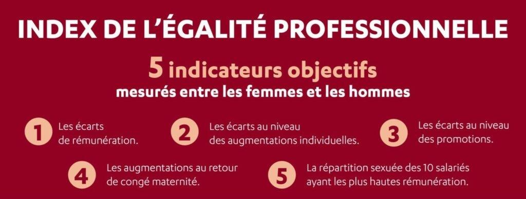 Index egalite femmes hommes transdev