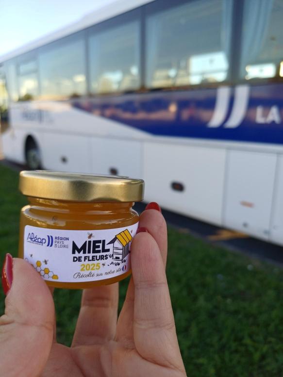 Miel de fleur - rse Transdev