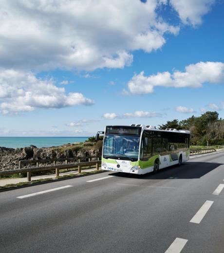 Réseau Lila Presqu’île (44)