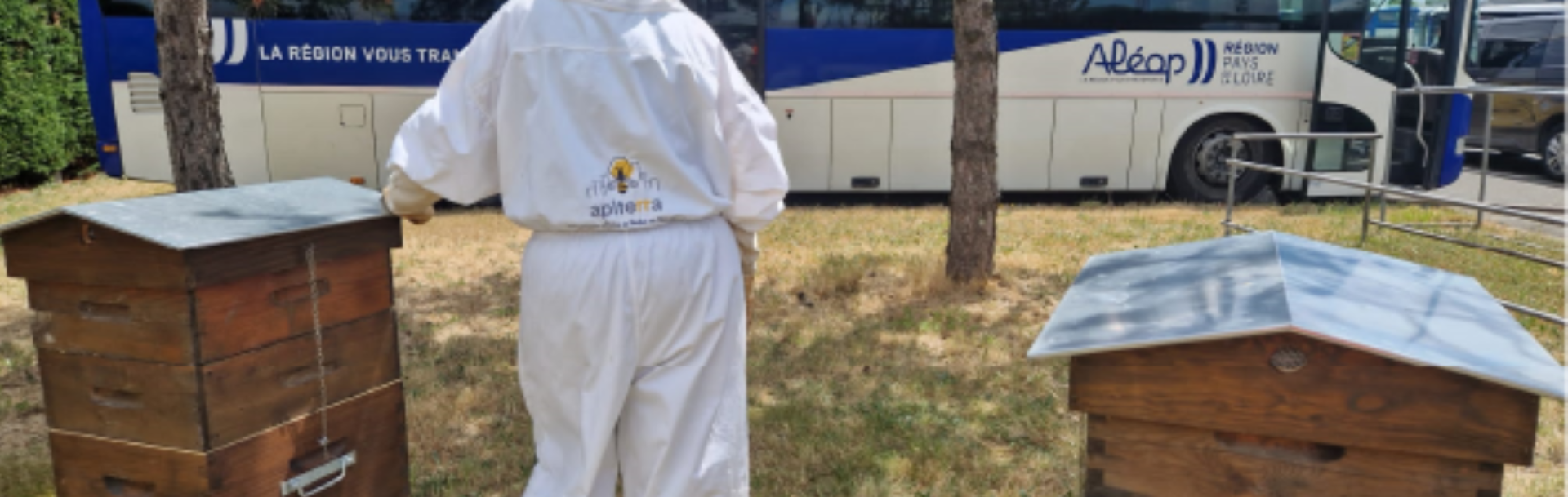 Ruches sur le dépôt des Ponts-de-Cé (49)