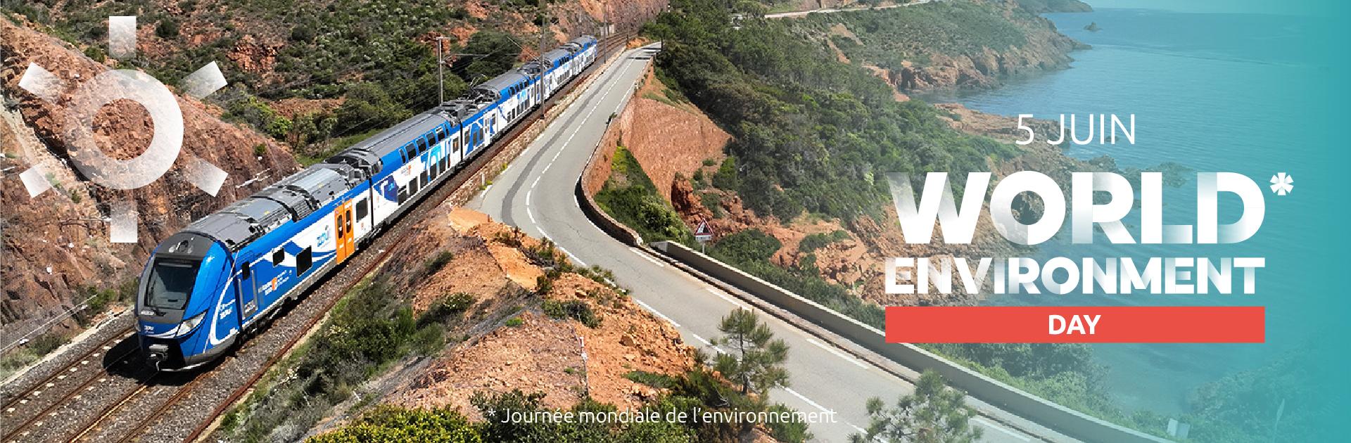 Image d'en-tête Journée mondiale de l'environnement 2026