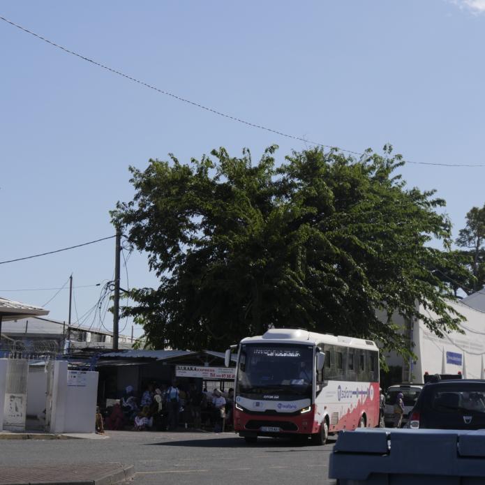 bus qui roule sur une route
