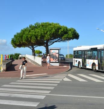 Transdev Royan Atlantique