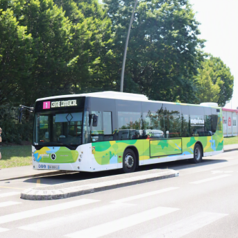 Bus Movima Mont de Marsan