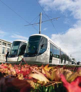 tramway,lehavre,réseau,agglomération,transdev,mobilité