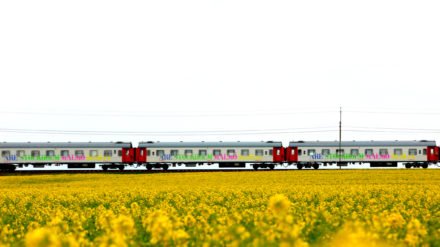 ferroviaire,suede,train,transdev,mobilité