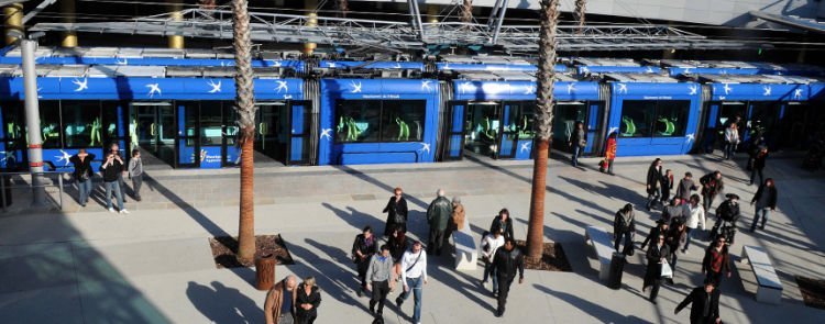 observatoire,mobilités,territoires,solutions,trandev