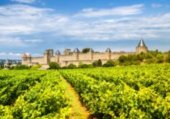 paysage landscape nature avec château et champs représentant occitanie carcassonne