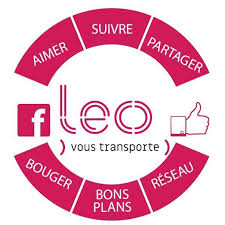 logo_leo_reseau-auxerre