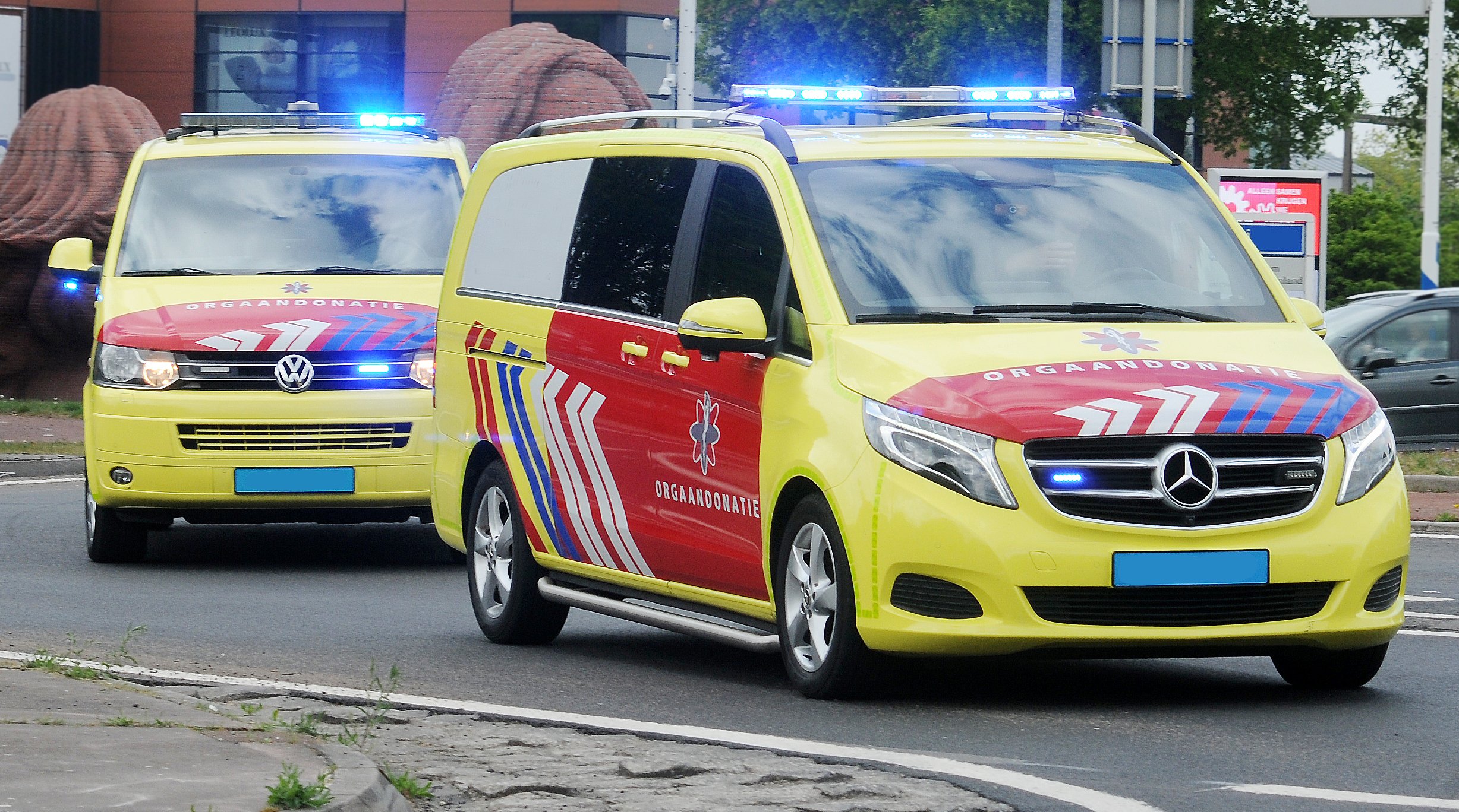 Witte Kruis receives contract for organ transport in South and West