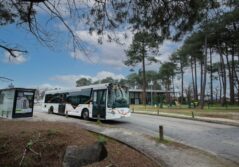 bus circulant à Arcachon dans une forêt