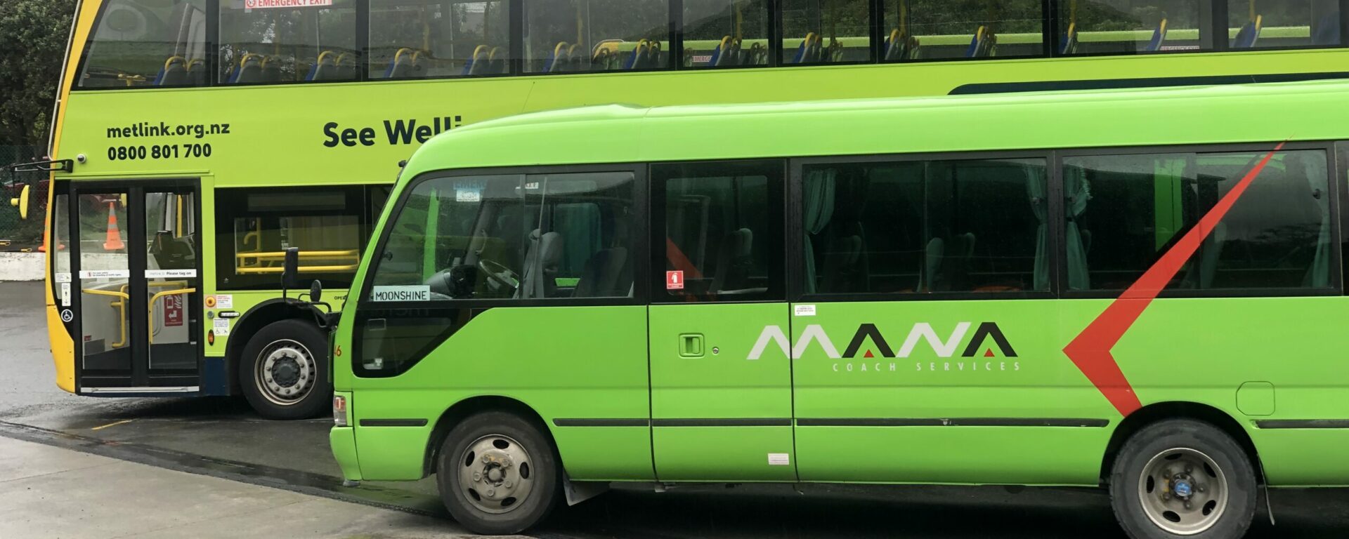 Bus verts du réseau Metlink Wellington Nouvelle Zélande