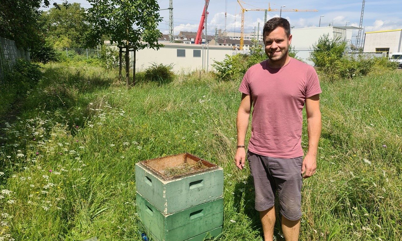 man standing next to a beehive Beekeeping at Transdev rail depot in Germany is environmental protection in practice