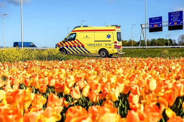 Agir pour la préservation et la protection des écosystèmes