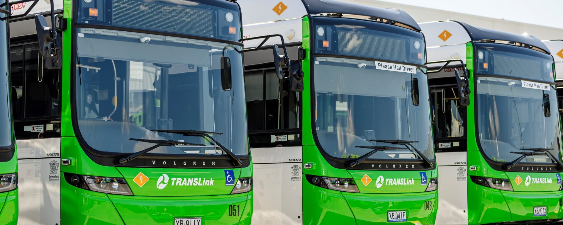 Translink green electric buses in Brisbane