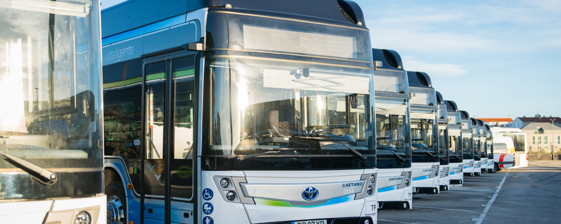 10 more electric buses for Aveirobus